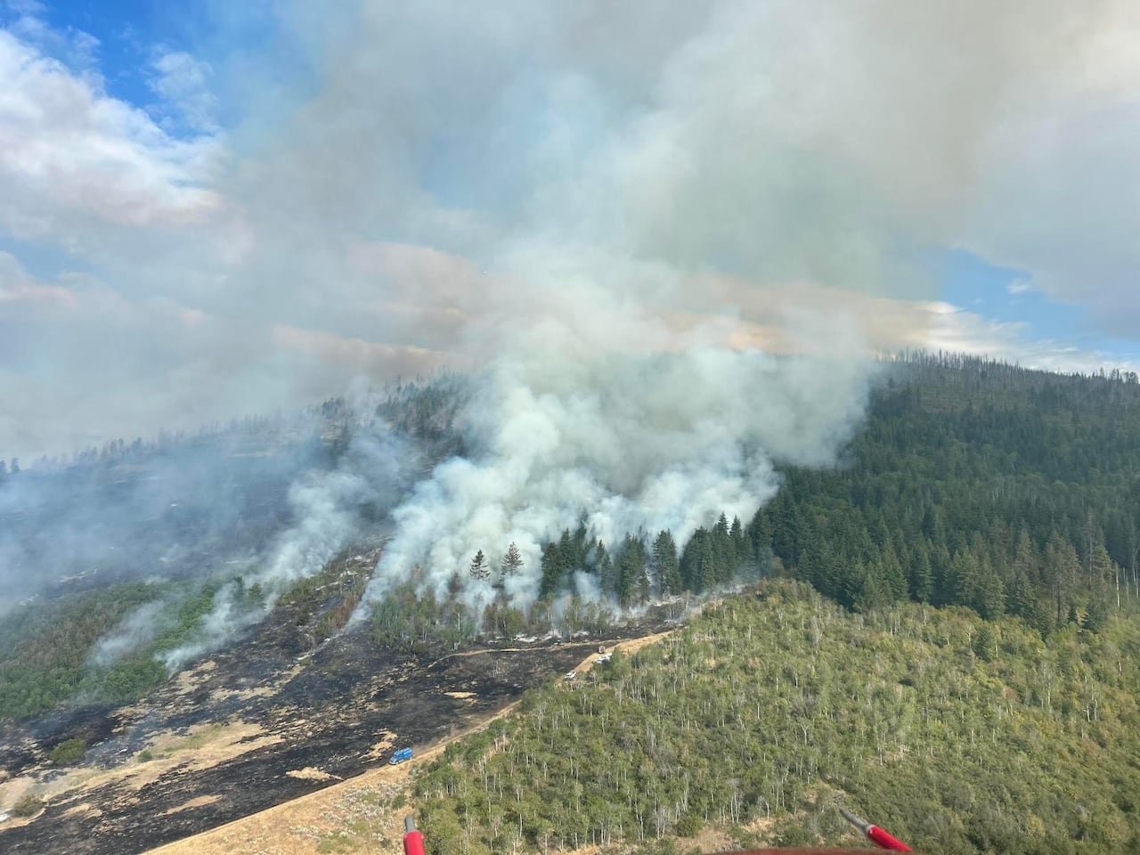 default-340 A massive fire burns through a forested area, leaving a charred path of destruction.